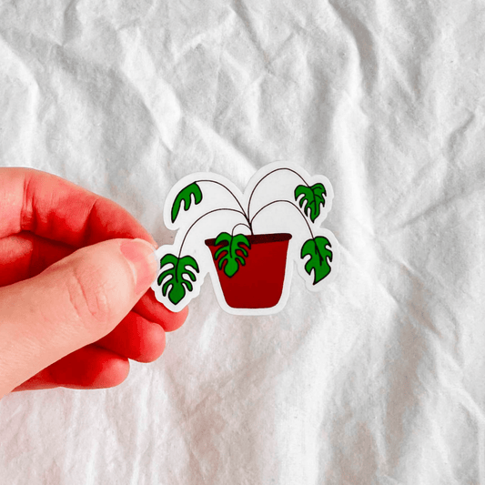 Monstera Sticker - ALilBitOfSpice