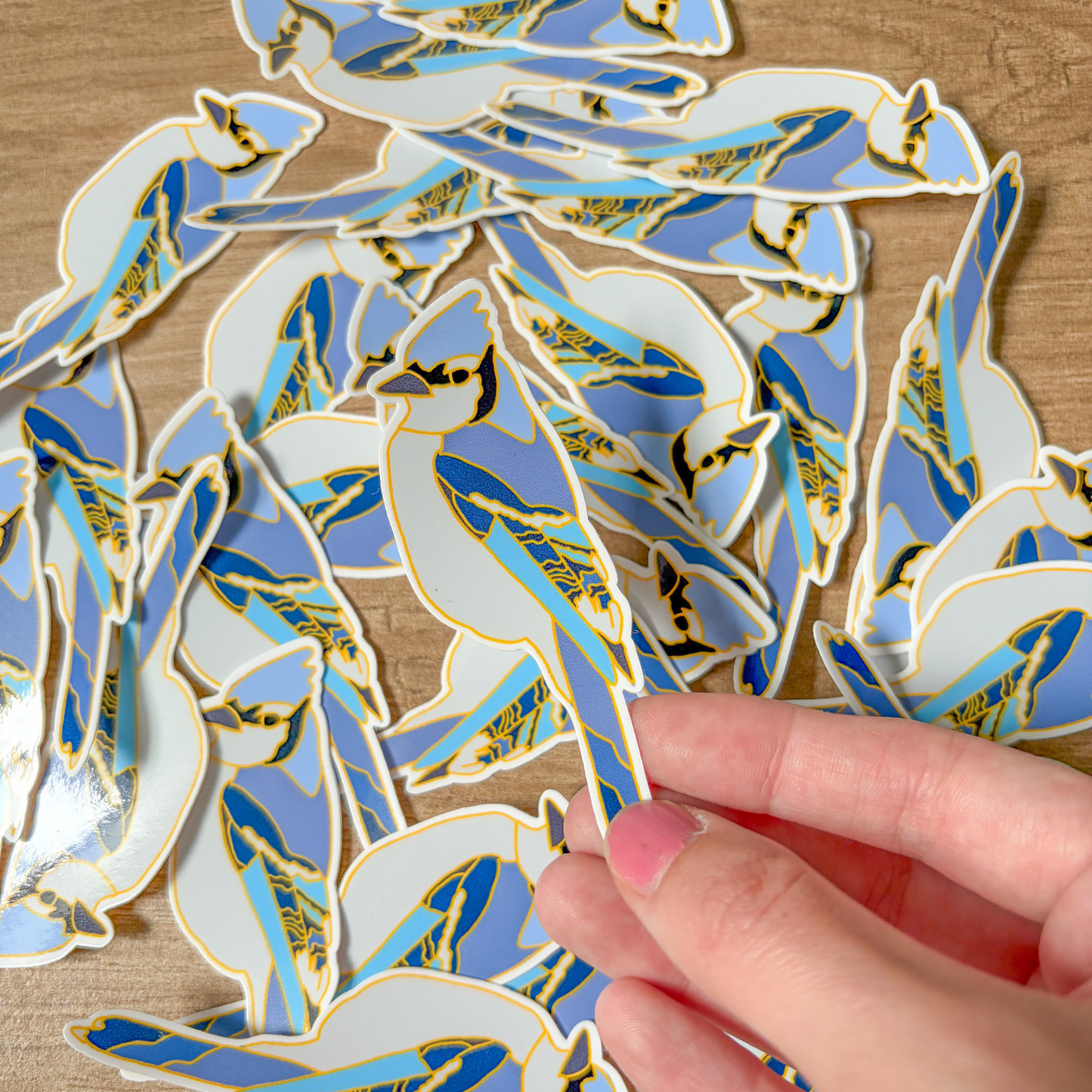 Hand holding a blue jay sticker among other similar stickers on a wooden surface