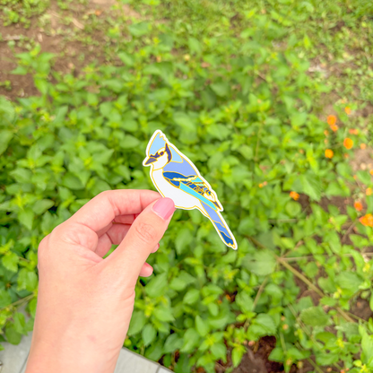 Hand holding a blue jay sticker with a green outdoor background