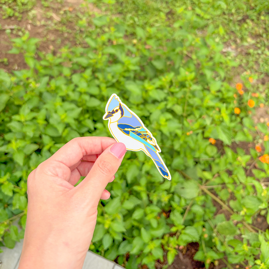 Stained-Glass Blue Jay Sticker