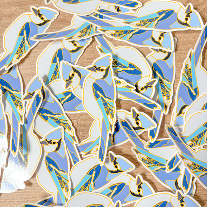Collection of blue jay stickers on a wooden surface