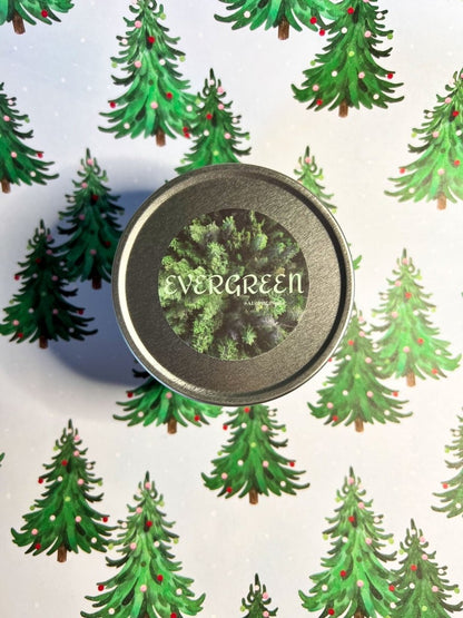 Evergreen Candle - ALilBitOfSpice